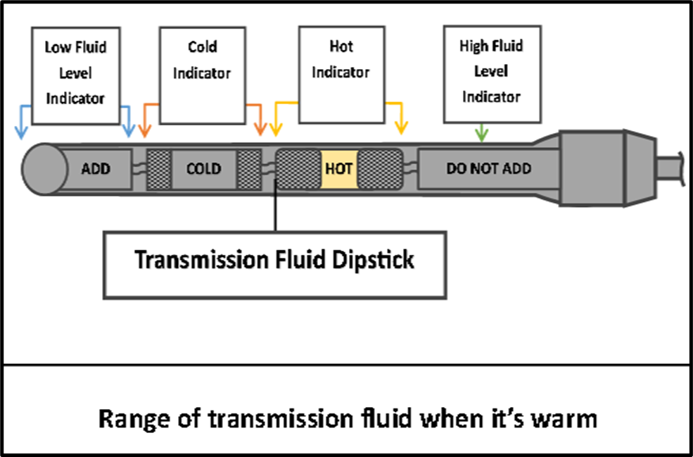 checking transmission fluid hot
