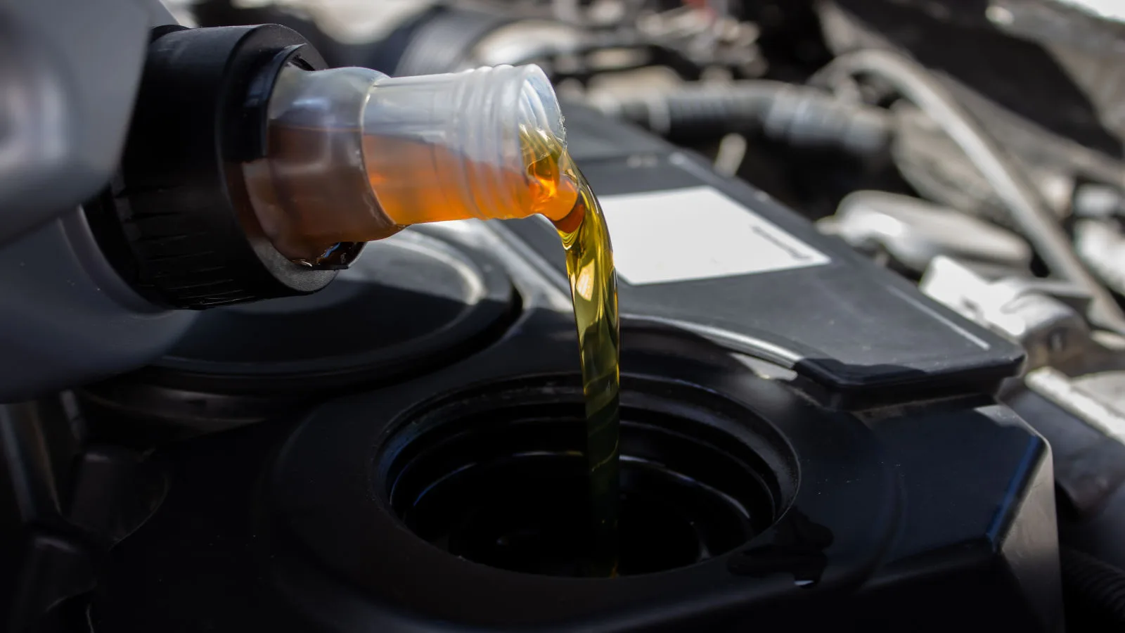 2011 ford escape transmission fluid