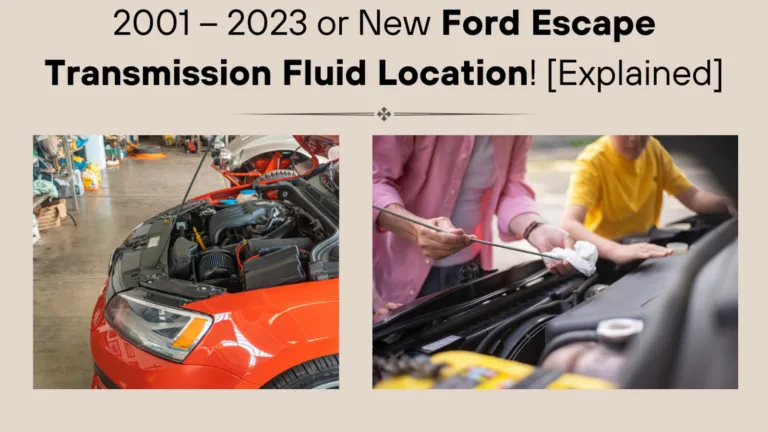 ford escape transmission fluid location