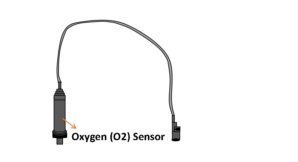 The number of O2 sensors in a Ford F150